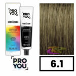 REVLON PRO YOU COLOR MAKER 6.1