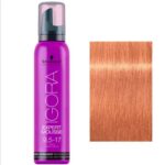 IGORA EXPERT MOUSSE 9,5-17 PEACH 100 ML